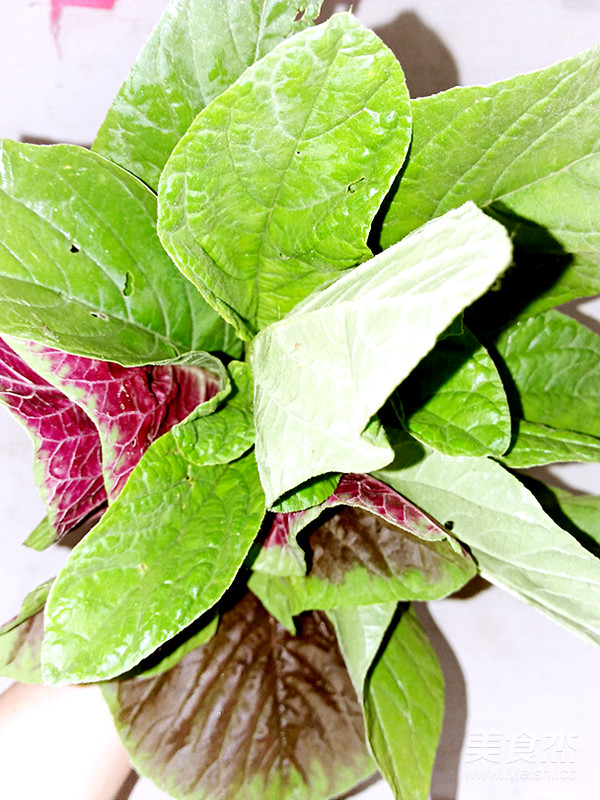 野莧菜這樣做既有營養又好吃哦的做法-家常味炒菜譜