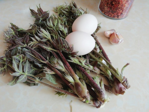 刺嫩芽煎蛋的做法-香辣味煎菜譜-易網<a href=http://www.fnaogov.cn/ target=_blank class=infotextkey>健康養生</a>網 刺嫩芽煎蛋的做法-香辣味煎菜譜