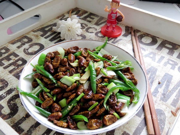 青椒炒蠶蛹的做法-家常味炒菜譜