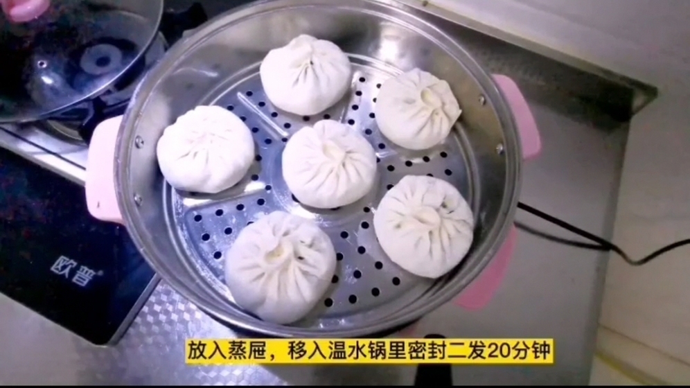 韭菜雞蛋素包子，餡里有鹽就入味，10分鐘出鍋剛剛剛好的做法-家常味蒸菜譜