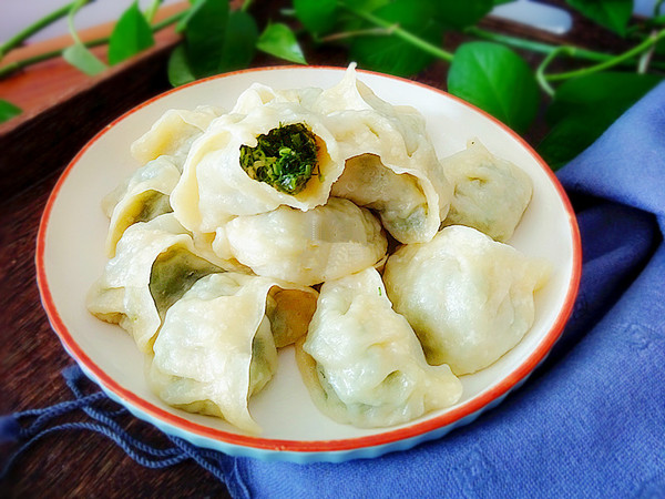 茴香豬肉餡蒸餃的做法-咸鮮味蒸菜譜-易網(wǎng)健康養(yǎng)生網(wǎng) 茴香豬肉餡蒸餃的做法-咸鮮味蒸菜譜