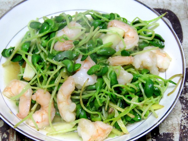 蝦仁炒豆苗的做法-家常味炒菜譜-易網(wǎng)健康養(yǎng)生網(wǎng) 蝦仁炒豆苗的做法-家常味炒菜譜
