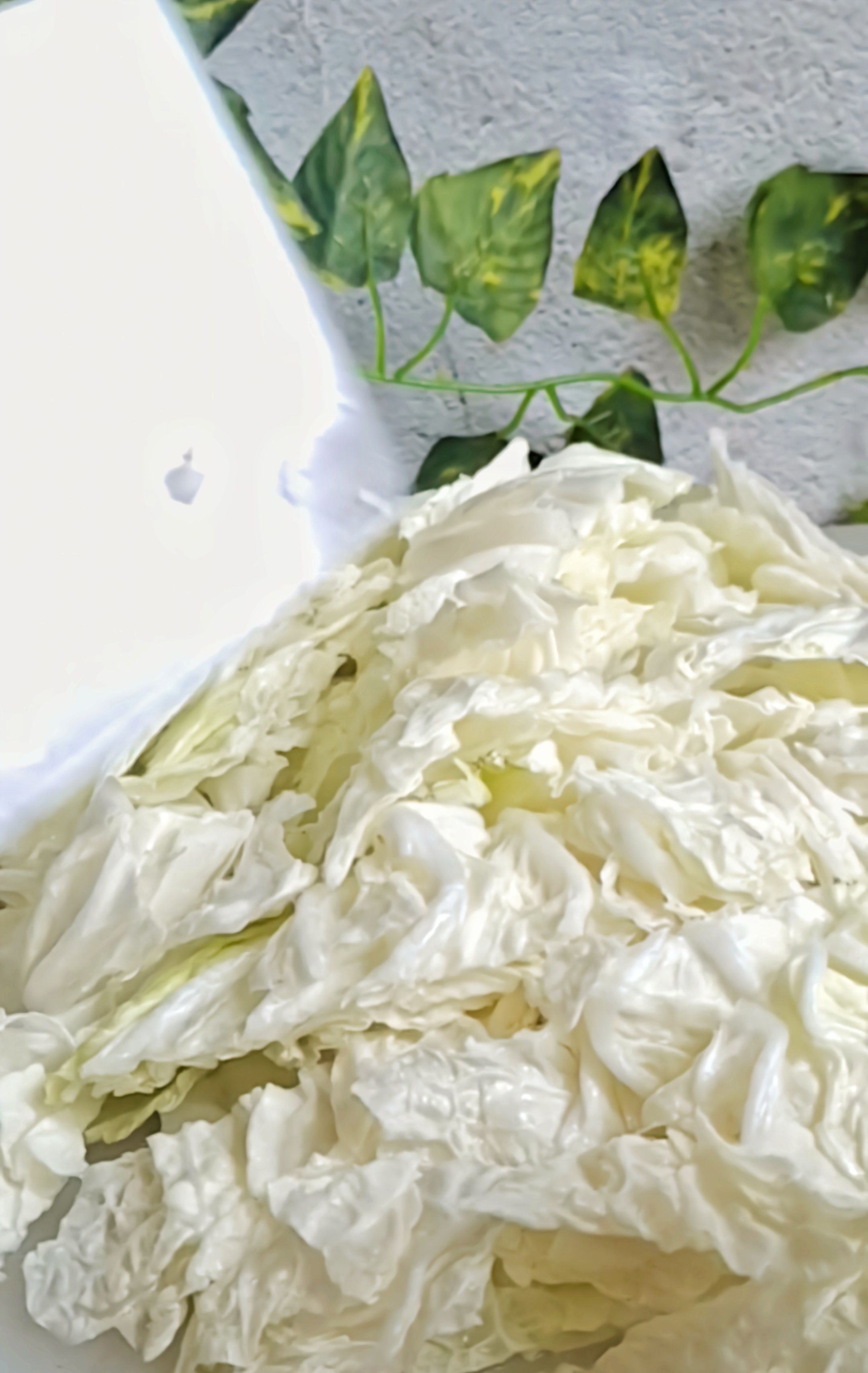 最家常的冬季暖鍋，百吃不厭~白菜粉條牛肉鍋的做法-咸鮮味煮菜譜