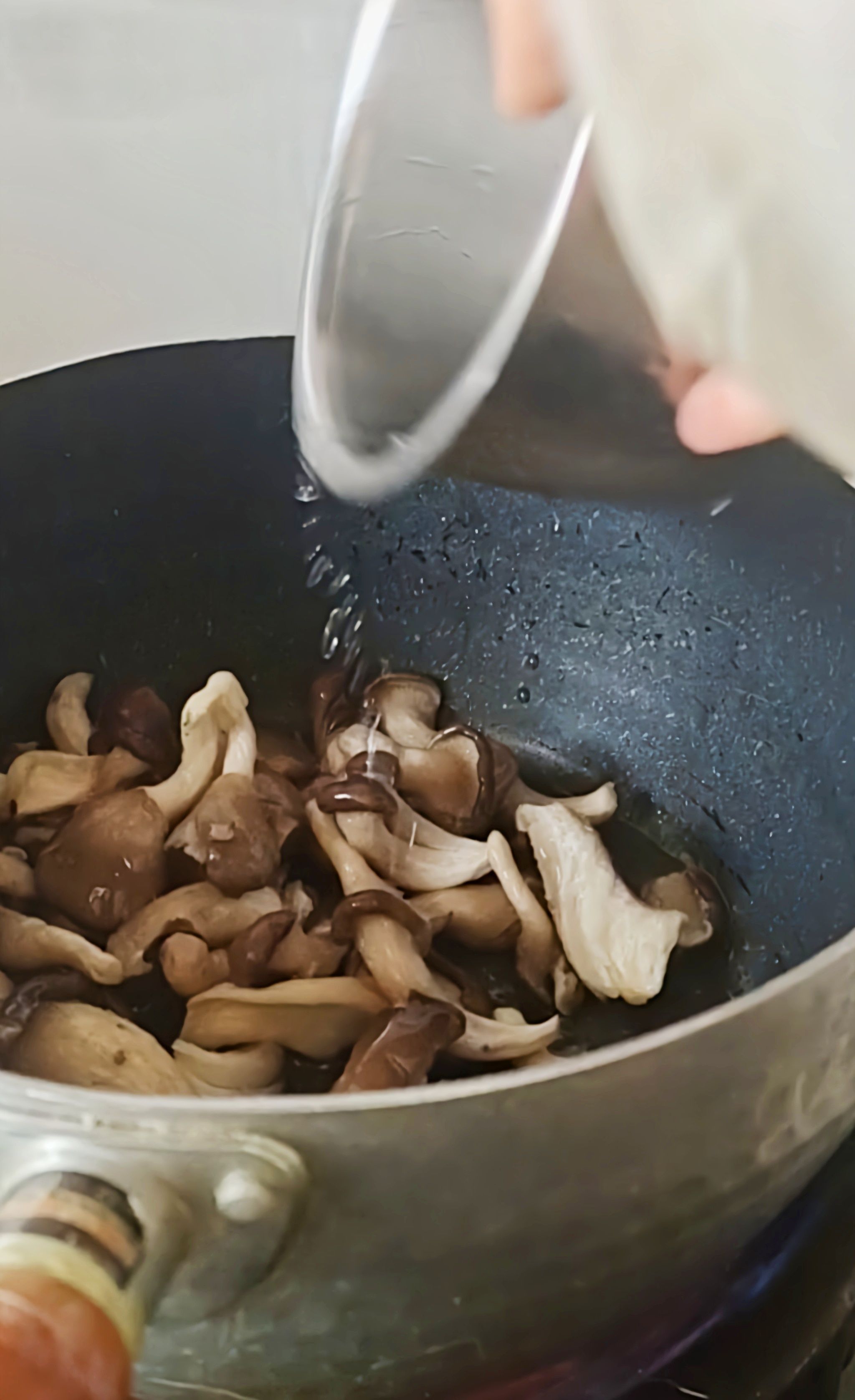 最家常的冬季暖鍋，百吃不厭~白菜粉條牛肉鍋的做法-咸鮮味煮菜譜