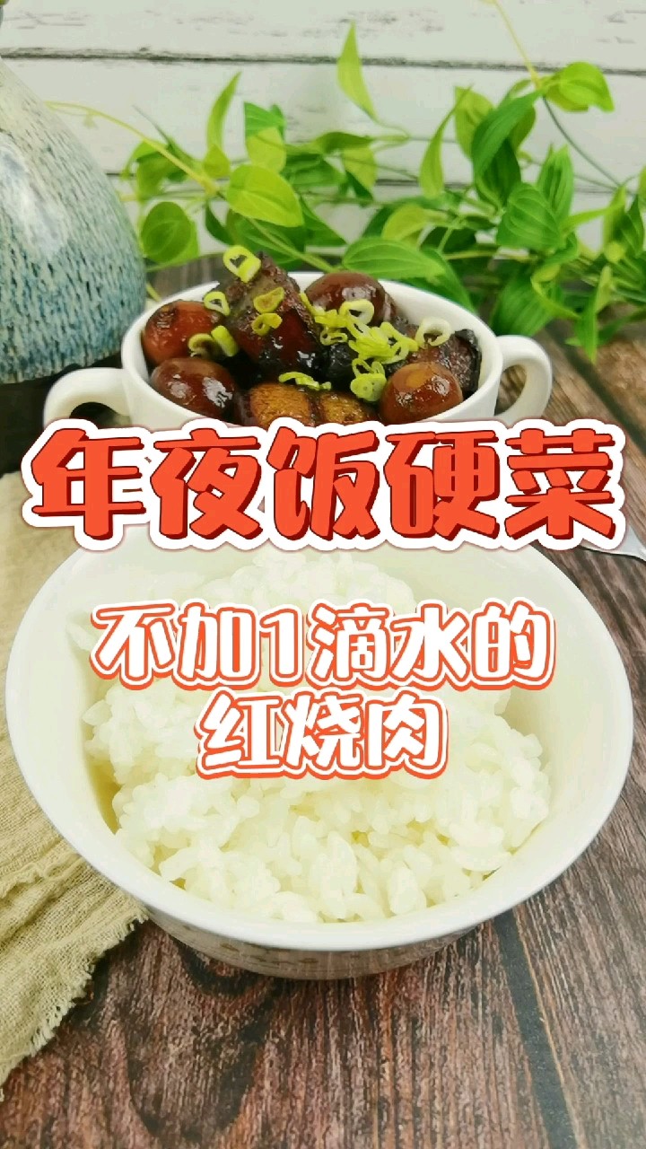年夜飯“硬菜”-不加1滴水的紅燒肉，入口咂舌仰嘆天的做法-家常味燉菜譜