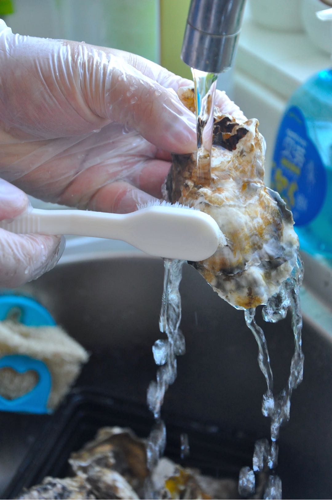 今日美食~白灼生蠔的做法-蒜香味蒸菜譜-易網<a href=http://www.fnaogov.cn/ target=_blank class=infotextkey>健康養生</a>網 今日美食~白灼生蠔的做法-蒜香味蒸菜譜