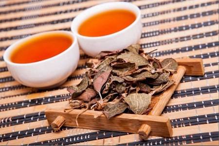 金線蓮的六大功效與作用，清熱養顏幫你去除痘痘粉刺