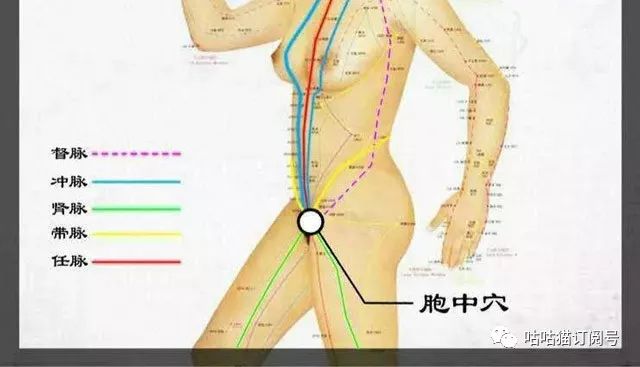 臻丸丨作為女人一定要用，一定要進(jìn)來(lái)看看！