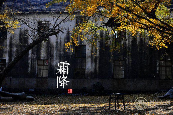 2018霜降時間_霜降是什么時候_吃什么<a href=http://www.fnaogov.cn/jkys/ target=_blank class=infotextkey>養(yǎng)生</a>_霜降習(xí)俗 2018霜降時間_霜降是什么時候_吃什么養(yǎng)生_霜降習(xí)俗