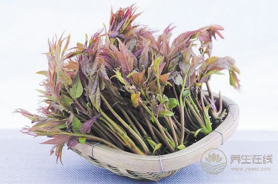 春季養生哪家強，蔬菜水果來幫忙