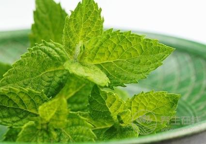夏季辦公室族易患風熱感冒？ 3款薄荷飲品可治愈
