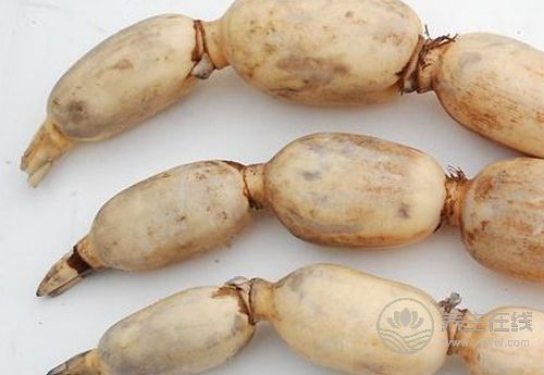 冬天養(yǎng)生，這些食物不能錯(cuò)過