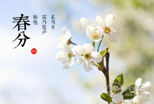 2019年什么時候春分 春分時間是幾點幾分