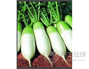 秋天五種養(yǎng)生水果推薦