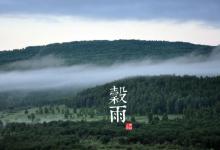2018谷雨時(shí)間_谷雨是什么時(shí)候_吃什么養(yǎng)生_谷雨習(xí)俗