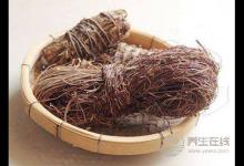 春夏潮濕季，保肝護(hù)肝用雞骨草煲湯