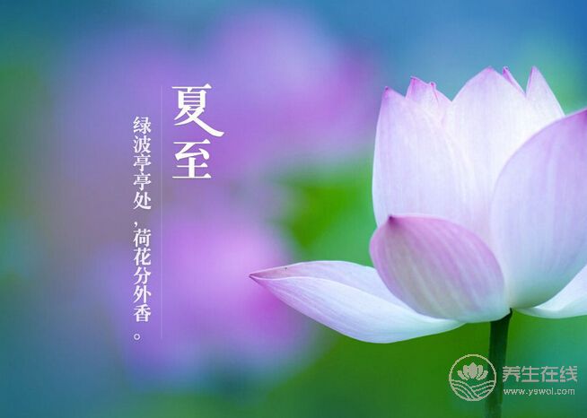 夏至養生有講究 調養身心是關鍵