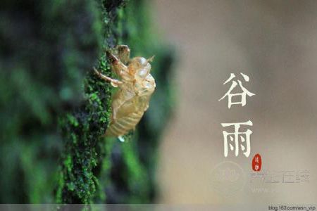 谷雨節(jié)氣的由來(lái)?