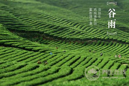 谷雨節(jié)氣的由來(lái)?