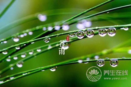 谷雨節(jié)氣的由來(lái)?