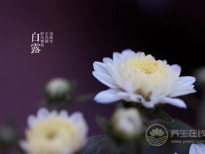 白露節氣該如何對抗干燥
