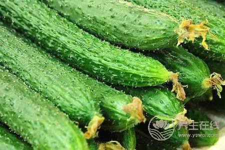 處暑養(yǎng)生吃哪些食物好?處暑怎樣調(diào)整飲食吃的健康?