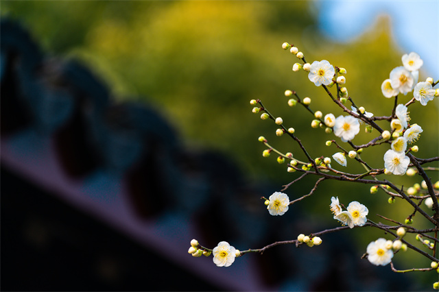 立春后天氣還會不會冷？立春后這樣養(yǎng)生比較好