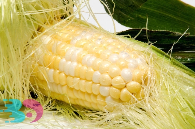 孕婦吃玉米須的功效與作用及禁忌，為了腹中胎兒，飲食也不能太過(guò)肆意妄為