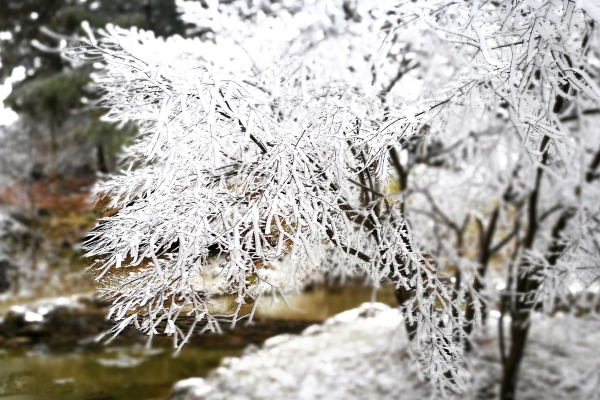 小雪的節(jié)氣特點