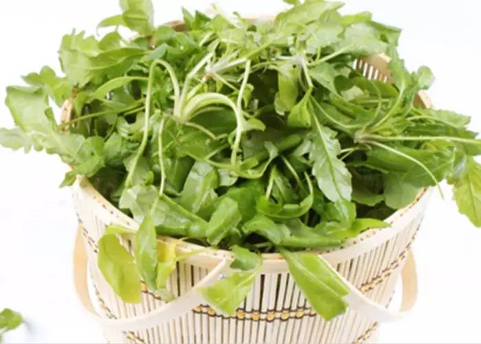 眼睛易疲勞?六種食物為您撐起保護傘! 眼睛易疲勞?六種食物為您撐起保護傘!