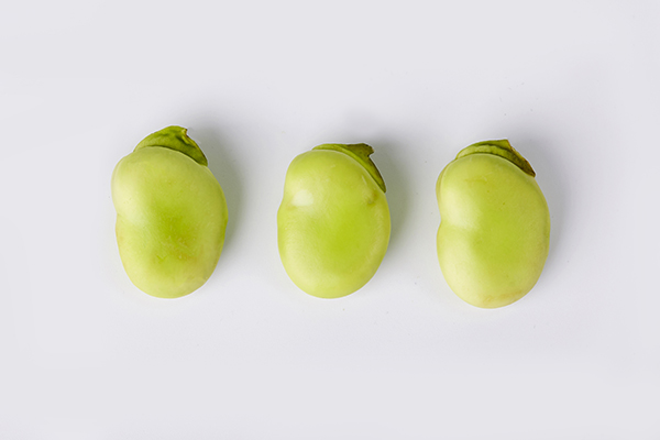 蠶豆的熱量高嗎?蠶豆含淀粉高嗎-易網(wǎng)<a href=http://www.fnaogov.cn/ target=_blank class=infotextkey>健康養(yǎng)生</a>網(wǎng) 蠶豆的熱量高嗎?蠶豆含淀粉高嗎