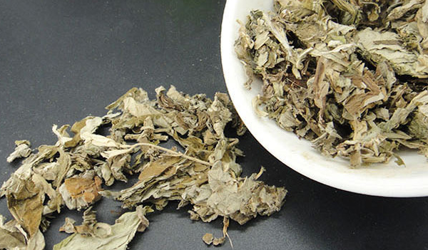 治療膝關節炎的偏方?治膝蓋痛絕密中藥方-易網健康<a href=http://www.fnaogov.cn/jkys/ target=_blank class=infotextkey>養生</a>網 治療膝關節炎的偏方?治膝蓋痛絕密中藥方