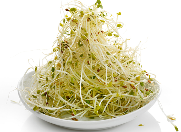 開(kāi)胃的食物有哪些 不傷胃的開(kāi)胃涼拌菜做法