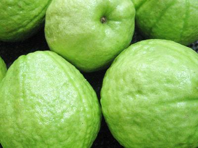 番石榴學名：番石榴，英文：Guava