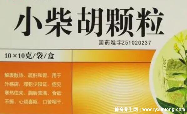 小柴胡三種人不能吃，其實有六種人不能吃(風寒/陰虛慎用)
