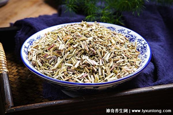 荊芥的十大神奇功效，治療風熱頭痛/咽喉腫痛(能抗過敏/消疹止癢)