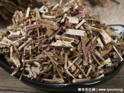 荊芥的十大神奇功效，治療風(fēng)熱頭痛/咽喉腫痛(能抗過(guò)敏/消疹止癢)