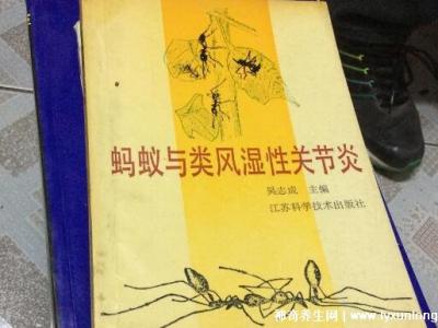 黑螞蟻治療類風濕配方，螞蟻消痹湯(類風濕性關節炎的克星)