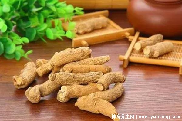 藏雪參的功效與作用吃法，預(yù)防高血糖/延年益壽(可泡水喝/煲湯)
