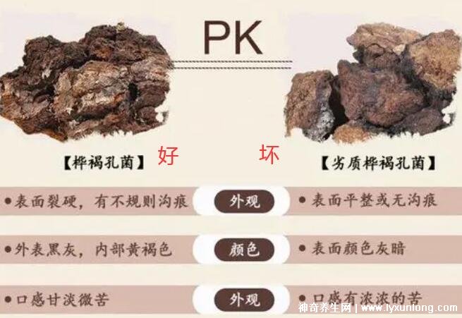 喝了4個月樺樹茸血糖升高，正確服用會降血糖(3大因素影響)
