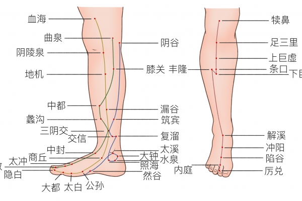 照海的功效與作用是什么-易網健康<a href=http://www.fnaogov.cn/jkys/ target=_blank class=infotextkey>養生</a>網 照海的功效與作用是什么